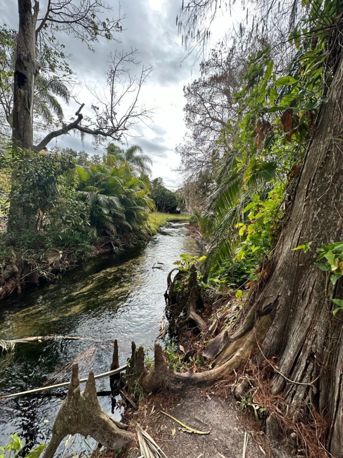 (Left) Mead
Botanical Garden
was hit hard by
Hurricane Ian.
Many areas of
the park were
flooded for

months. Addition-
ally, the park

is still seeking
grant money for
recovery from
hurricanes in
2004. Photo by
Sarah Finfrock.
