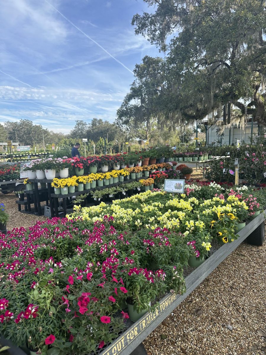 (Above) Lukas Nursery offers thousands of different plants, flowers, and much more. The colorful flowers will brighten not only your day, but they will brighten your garden as well. 