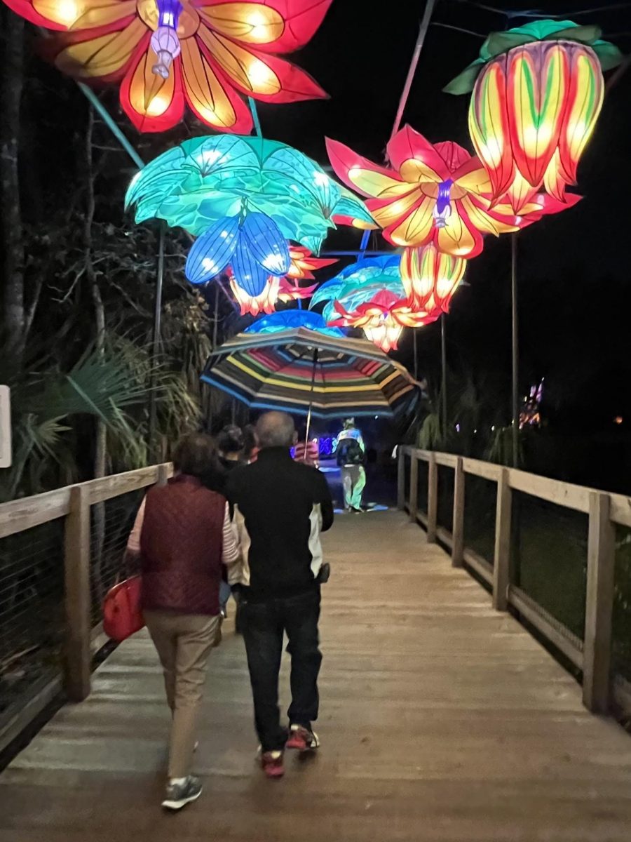 (Above) From November 17, 2023 to January 17, 2024, the Central Florida Zoo & Botanical Gardens hosted its fourth annual Asian Lantern Festival. Traditional Chinese lanterns were situated on a ¾ mile loop around the zoo, though animals were hidden as the festival was after hours. 