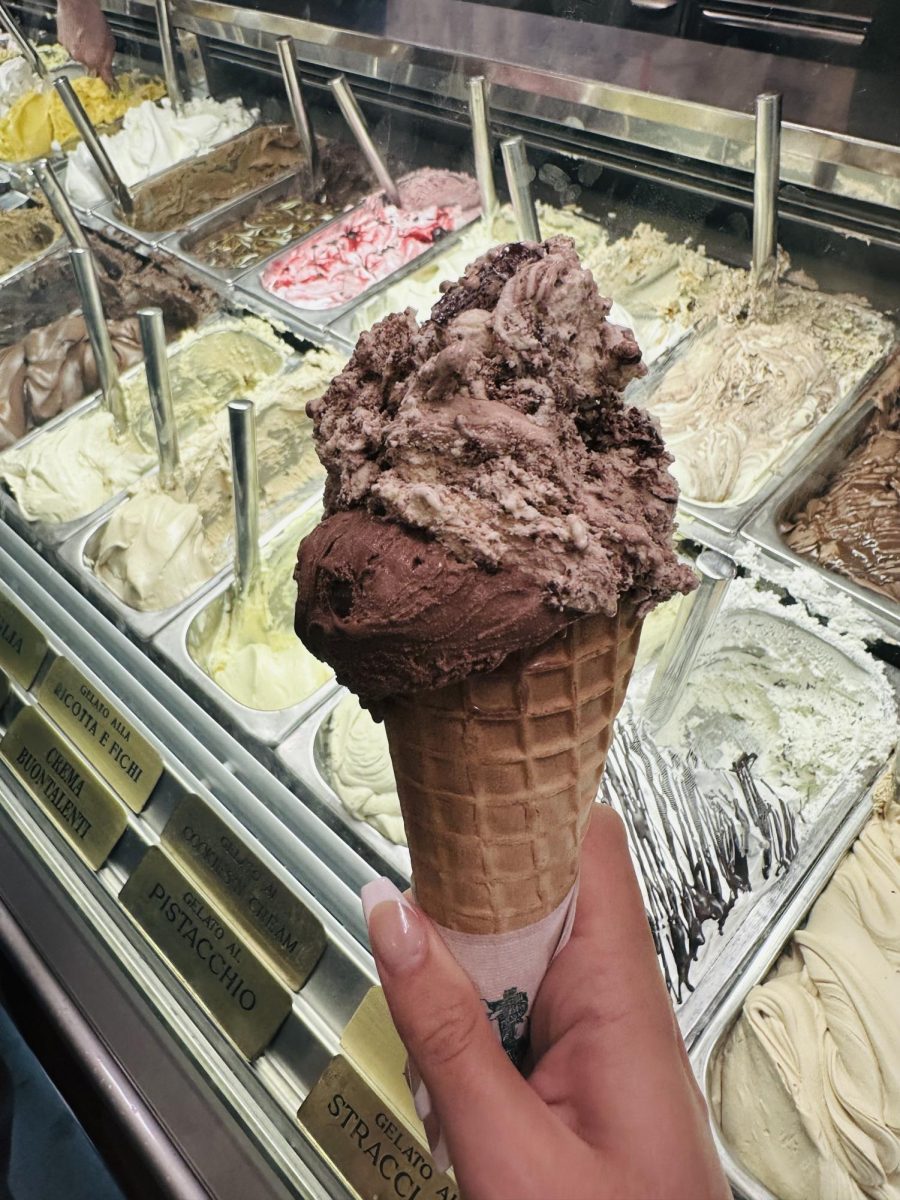 (Above) Gelato is surprisingly healthier than ice cream. Gelato is made with milk instead of heavy cream, has a lower fat content, has no eggs, and contains added ingredients instead of added flavors.