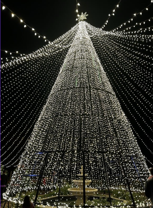 (Above) Rows and rows of lights extended outward from the tree. The program claims that the 2024 tree was the biggest tree that has ever been featured in their program. The tree was set to be, “Bigger than ever,” for their fifth anniversary, according to dazzlingorlando.com, to top off the tree, a massive star can be seen twinkling from the start of the path.
